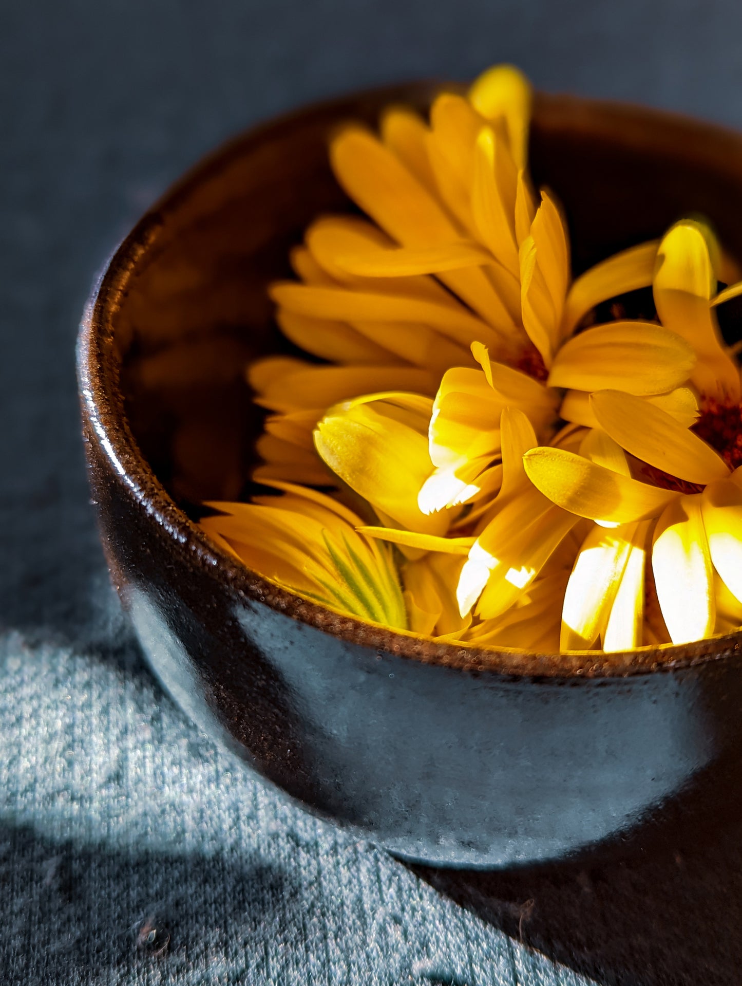 Solid Dish Soap | Rosemary, Lemongrass + Sweet Orange Dish Soap in Handmade Stoneware Pottery